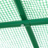 Plastenik s folijom, vratima i 4 prozora 245 × 200 × 198 cm, zeleni