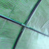 Plastenik s rolo vratima i mrežastim prozorima 200 × 100 × 215 cm, zeleni