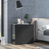 Komoda s 2 ladice i 2 vrata 79 × 36 × 74 cm, crna sjajna