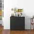 Komoda s 2 ladice i 2 vrata 79 × 36 × 74 cm, crna sjajna