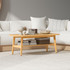 Klub stol ovalni s policom 120 × 60 × 42 cm, boja drveta