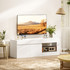 TV komoda s 2 vrata i otvorenom policom 140 × 40 × 48 cm, bijela
