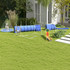 Klackalica za agility trening pasa, protuklizna, od jelovine, plava, crvena i narandžasta