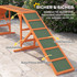 Agility rampa za pse, protuklizna, od drveta 335 × 55 × 60 cm, narandžasta