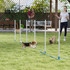 Agility set za pse sa 6 slalom štapova i torbom, plavo-bijeli