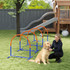 Agility set za pse s 4 luka i torbom za nošenje, plavo-narandžasti