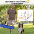 Agility set za pse, 7 dijelova, plavo-narandžasti
