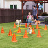 Agility set za pse sa 6 prepona, 12 čunjeva i torbom, narandžasta