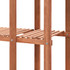 246432 Plant Stand Cedar Wood 86x36x139 cm