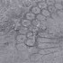 Podne obloge od PVC-a 4,46 m² 3 mm samoljepljive cementno sive