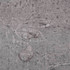 Podne obloge od PVC-a 4,46 m² 3 mm samoljepljive cementno smeđe
