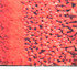 Prostirka za kuhinjski pod s uzorkom začina periva 45 x 150 cm
