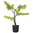 Umjetni bonsai čempres s posudom 60 cm zeleni Umjetni bonsai čempres s posudom 60 cm zeleni