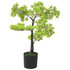 Umjetni bonsai čempres s posudom 60 cm zeleni Umjetni bonsai čempres s posudom 60 cm zeleni
