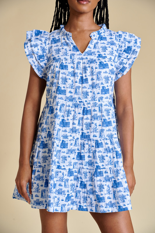 Toile University of Kentucky Dress