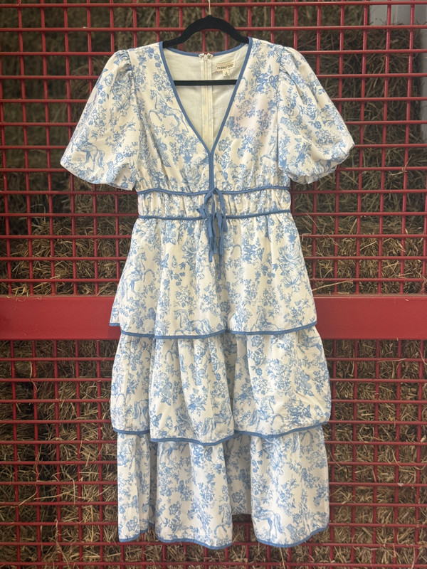 Toile Equine Midi Dress