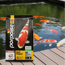 KOI FISH FOOD