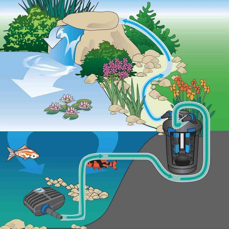 How to set up a pressure filter system around a pond?