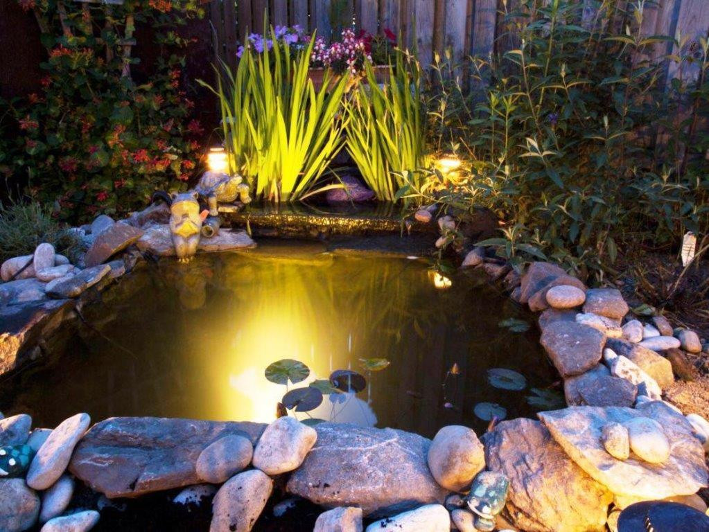 x Submersible LED WARM WHITE Pond Light kit