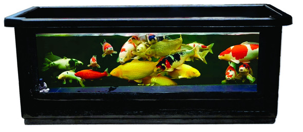 WINDOW Pond 1800 - BUNDLE 1