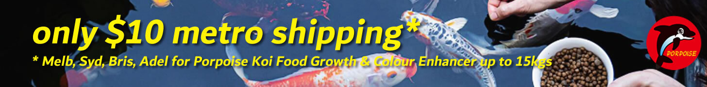 koi food shippign promo