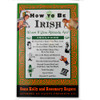 How to be Irish (Even If You Already Are) Gift Book