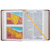 Color Maps in the New Catholic Bible Giant Print