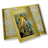 Divine Mercy Chaplet Mini Lives Holy Card