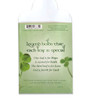 Back of the 4 Leaf Clover Pocket Stone envelope