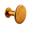 Long Shank Brass Collar Button