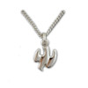 Sterling Dove Confirmation Necklace, 18" Chain