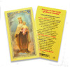 Our Lady of Mt Carmel Holy Card Laminated