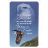 Wings As Eagles Bookmark Pocket Card