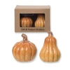 Pumpkin Salt and Pepper Shakers