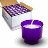 CA 4HR Purple Disposable EZ-Lites\1 Gross (144)