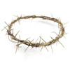 24" Crown of Thorns