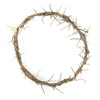 24" diameter Crown of Thorns comes boxed