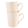 Belleek Set of 2 Field of Shamrock Mugs