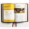 Inside timeline chart pages