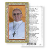 Prayer for the Pope Prayer card on paper stock