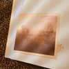 Example of the photographic art inside Hind's Feet on High Places