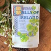 Bells of Ireland Seed Packet