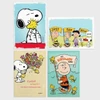 The 4 designs in the Boxed Peanuts Greeting Cards
