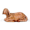 50" Scale Seated Sheep from Fontanini