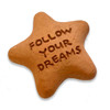 Follow Your Dreams Star Stone