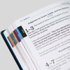 Color Tabs inside The Great Adventure Catholic Bible for Young Beginners