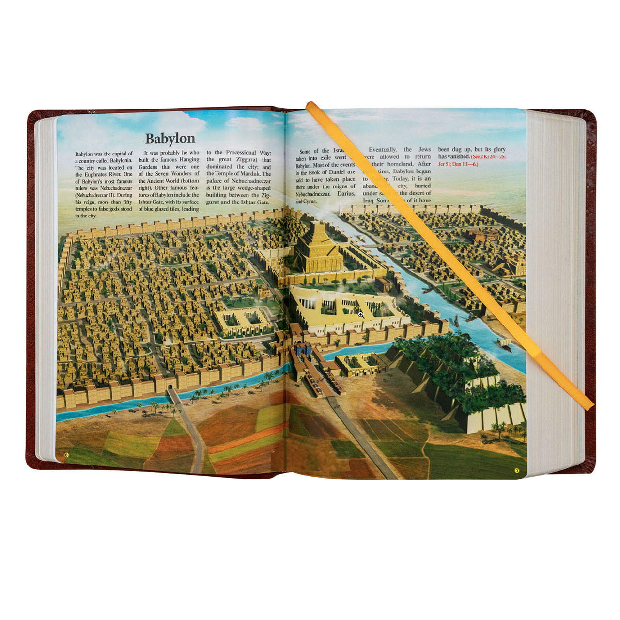 New Catholic Bible Giant Print Babylon pages