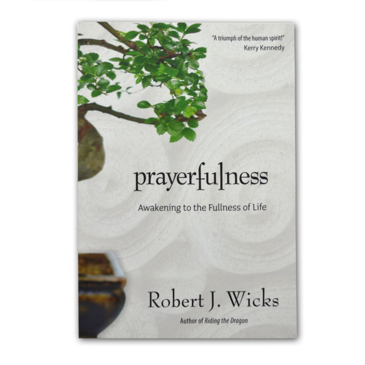 Prayerfulness Wicks, Robert J.