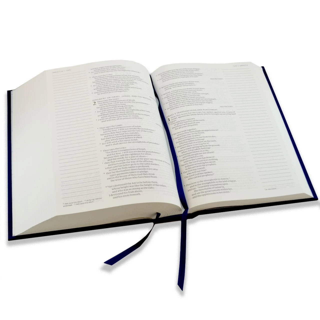 Inside pages of the hardcover Ave Catholic Notetaking Bible