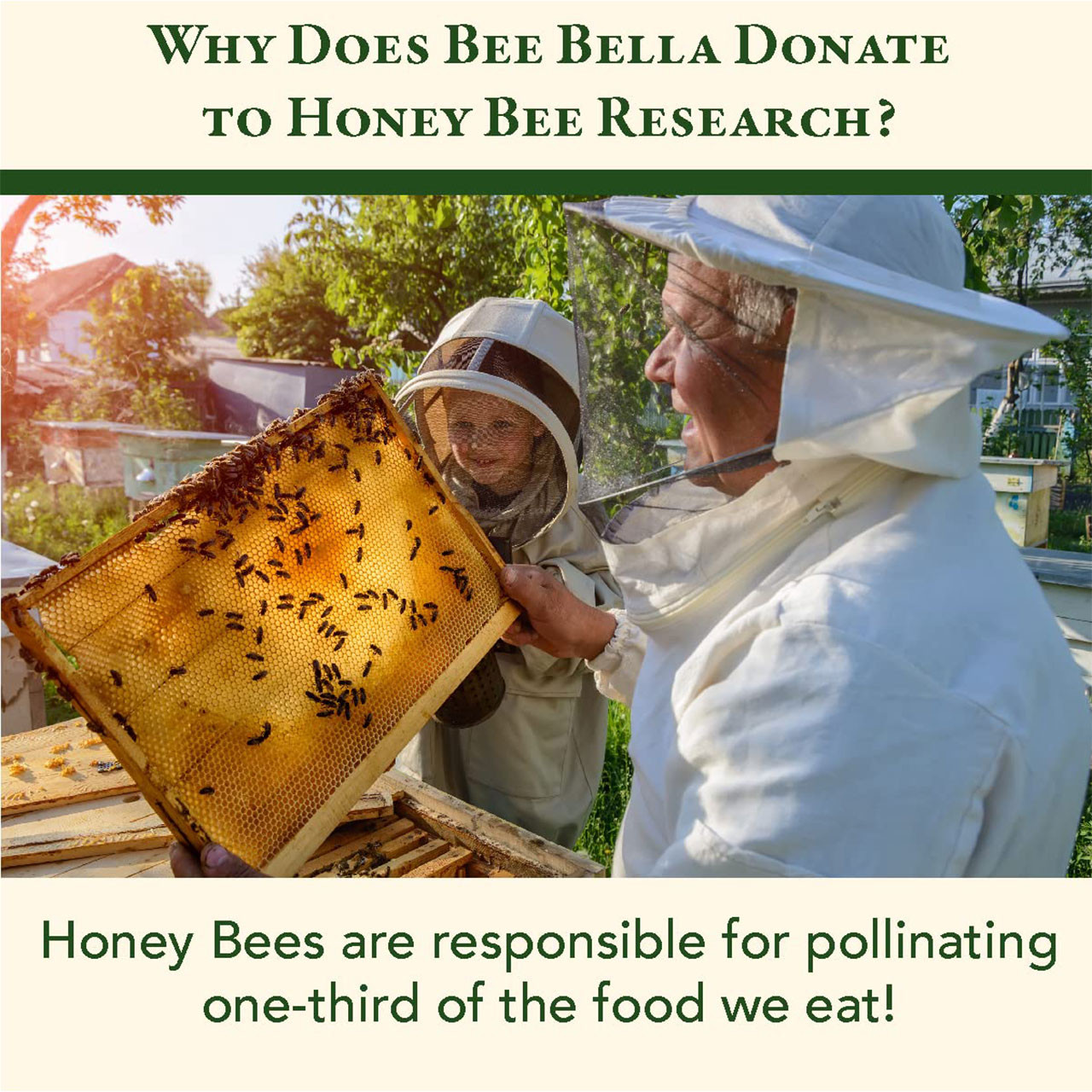Bee Bella donates to bee research